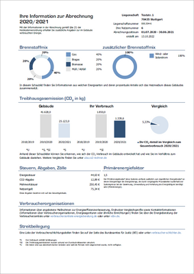 Muster von erweiterten Informationen auf der jährlichen Abrechnung