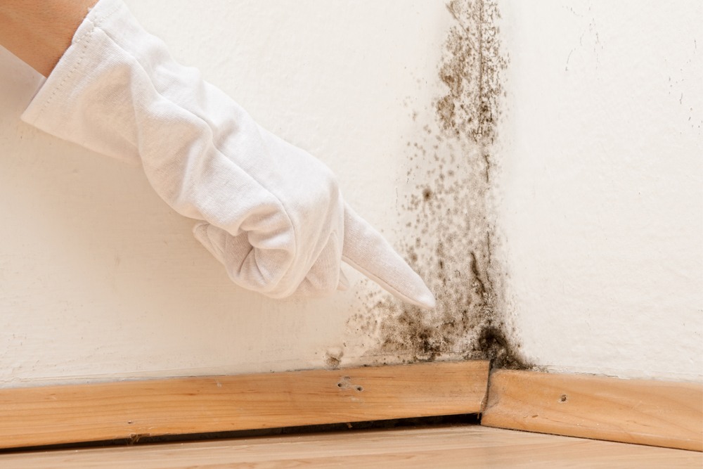 Wegen der geringeren Dichte von tragenden Böden und Decken entstehen besonders dort Wärmebrücken. Bei fehlender Belüftung bildet sich zuerst Feuchtigkeit und dann Schimmel.