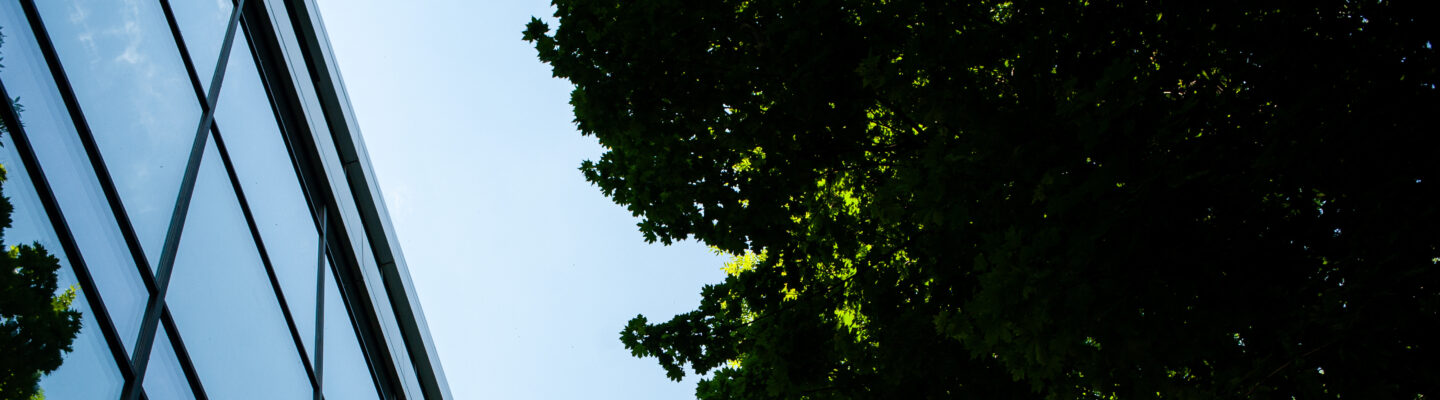 Geb&auml;ude mit Spiegelfenster in der Natur und gr&uuml;ne B&auml;ume