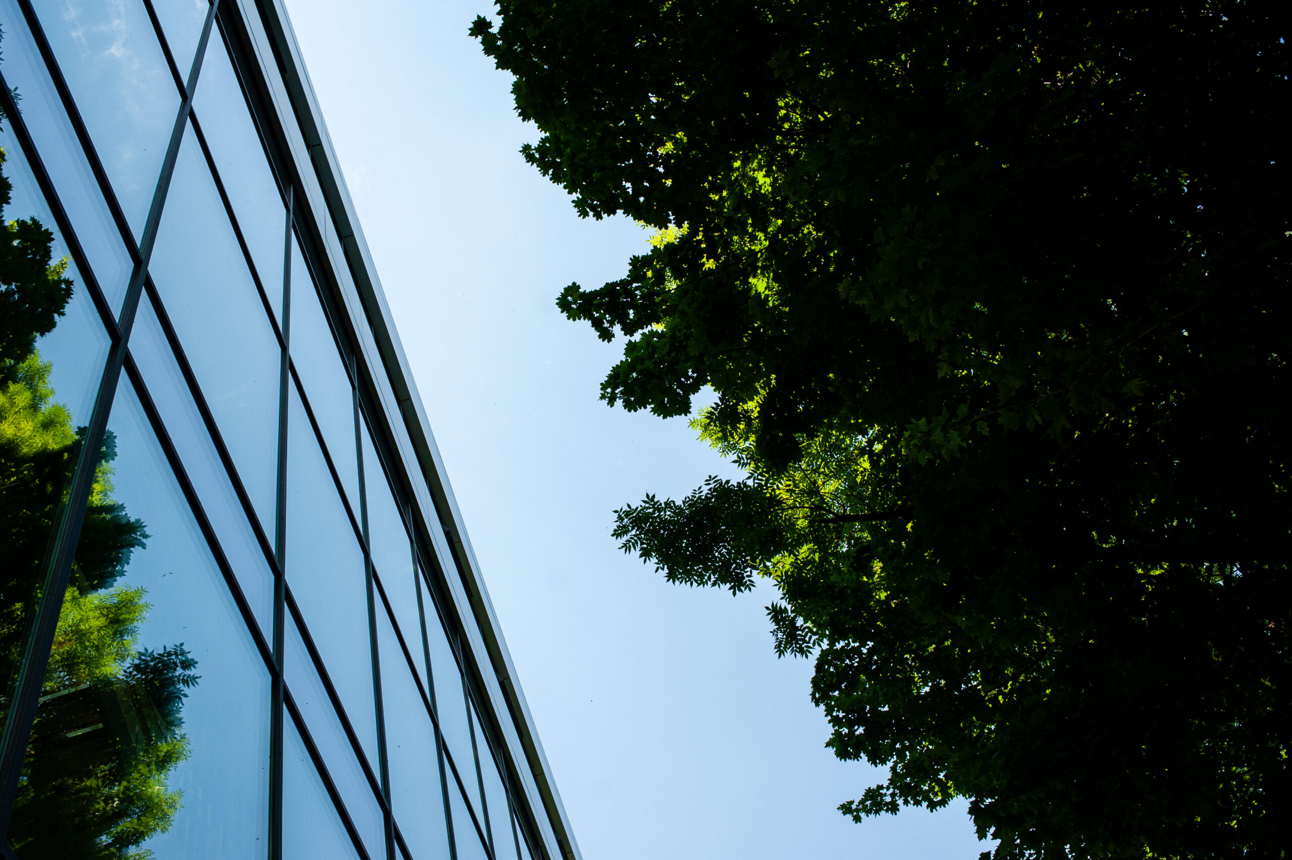 Awards und Auszeichnungen