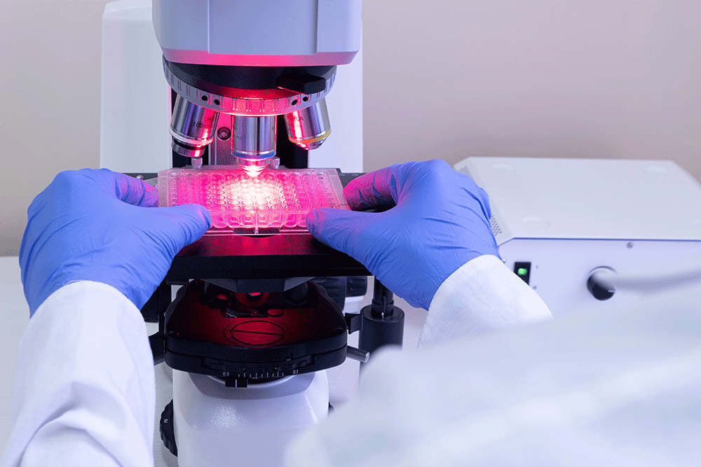 Legionellenprüfung im Labor