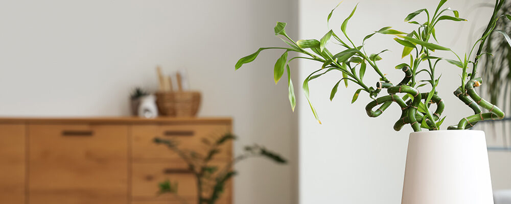 Media und Text Temperatur und Luftfeuchtigkeit